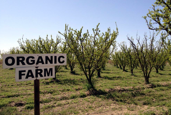 Valliwide Organic Farms