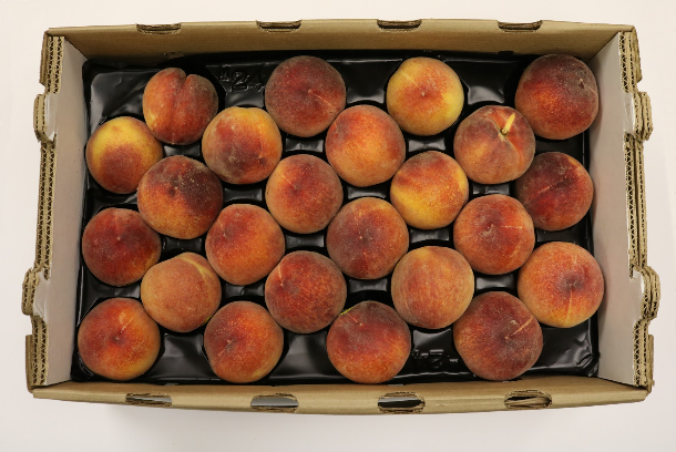 Crimson Lady Peaches in Box